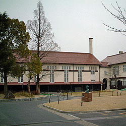 Fct